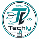 Techly — Software Development and IT Support
